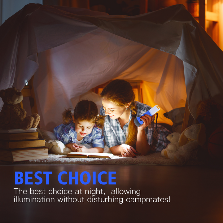 Brillar Dual Function Lantern Torch