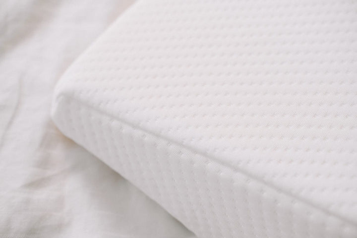 Living Today Pillows Clevinger Memory Foam Bed Wedge Back Support Pillow