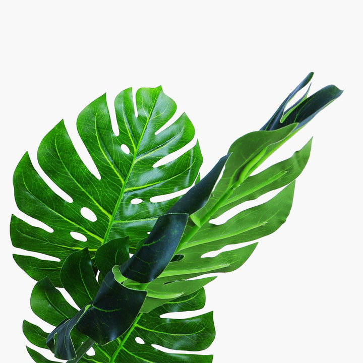 MB0032_3