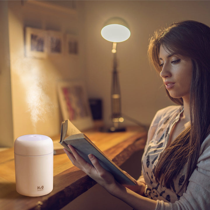 Living Today Mini LED Ultrasonic Humidifier 300ML