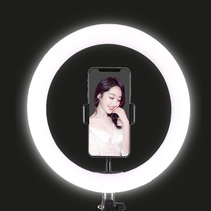 Living Today Electronics LED Studio Ring Light with Stand and Phone Holder 20cm