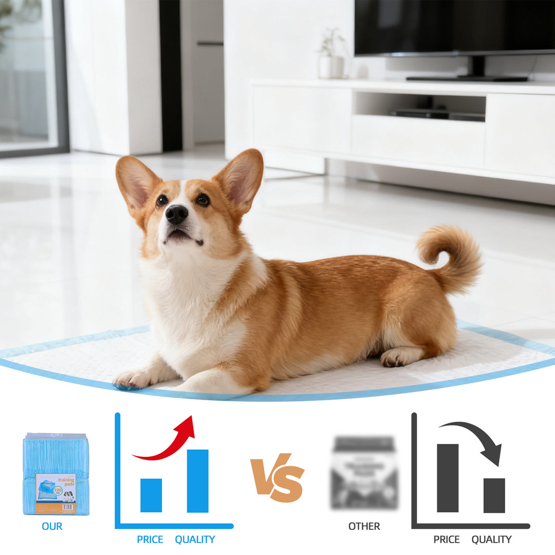 200 Pcs Dog Absorbent Training Pads – 60 × 60 cm Ultra-Absorbent, Leak-Proof Puppy & Pet Training Mats