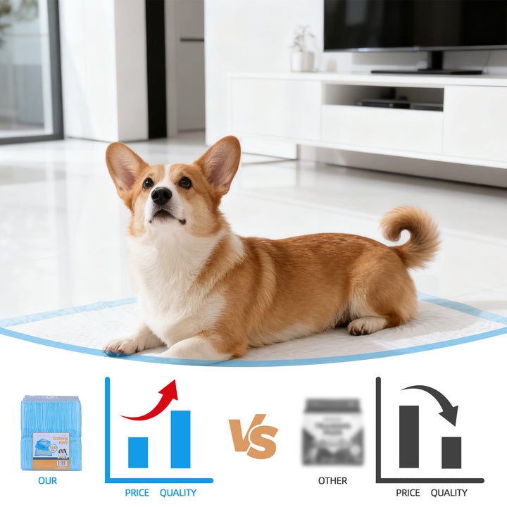 100 Pcs Dog Absorbent Training Pad 60 x 60 cm
