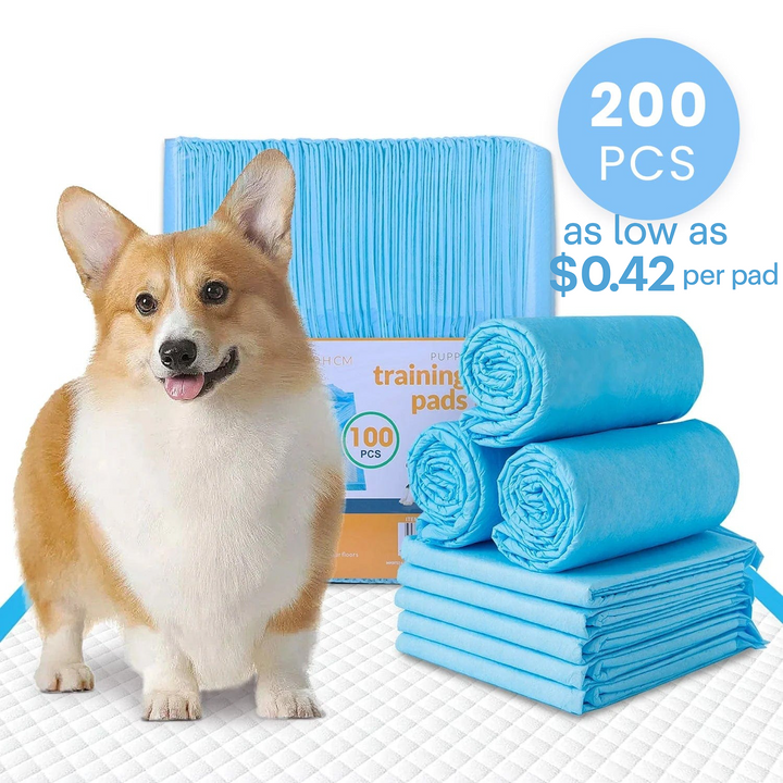 200 Pcs Dog Absorbent Training Pads – 60 × 60 cm Ultra-Absorbent, Leak-Proof Puppy & Pet Training Mats