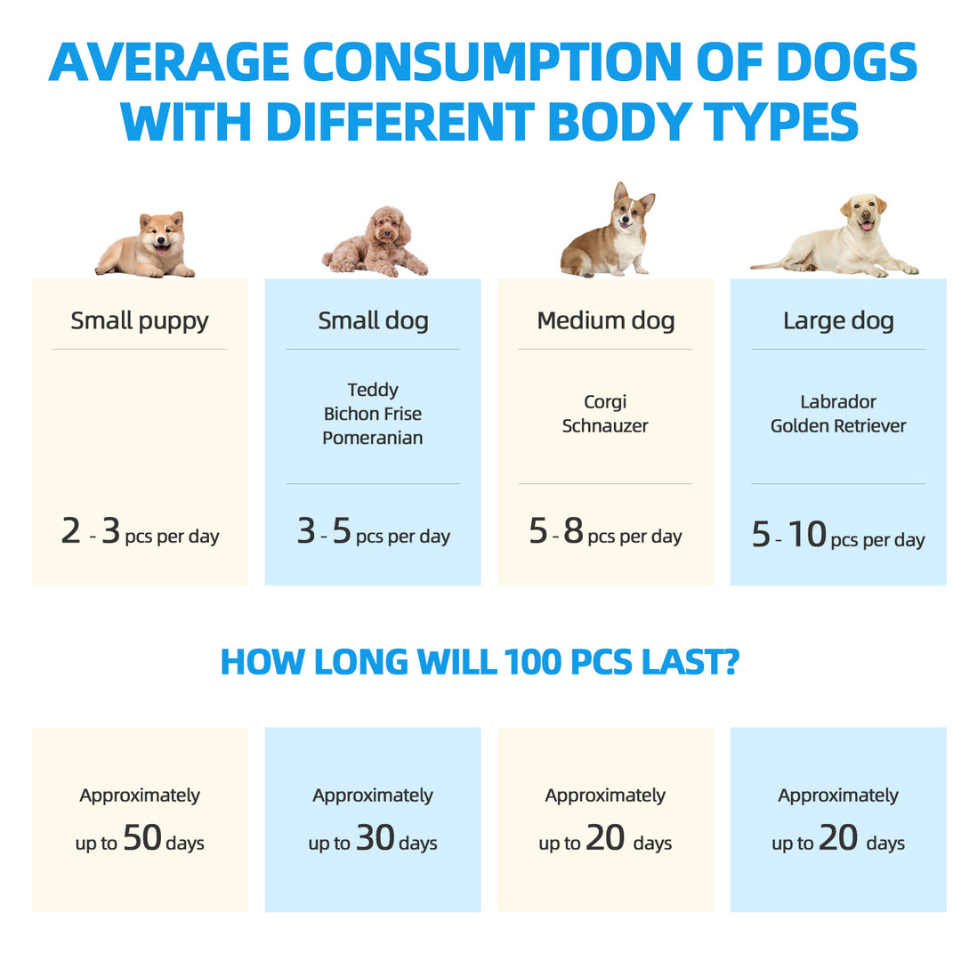 100 Pcs Dog Absorbent Training Pad 60 x 60 cm