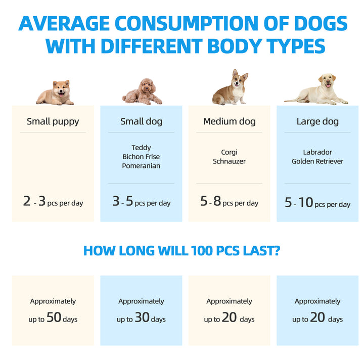 200 Pcs Dog Absorbent Training Pads – 60 × 60 cm Ultra-Absorbent, Leak-Proof Puppy & Pet Training Mats