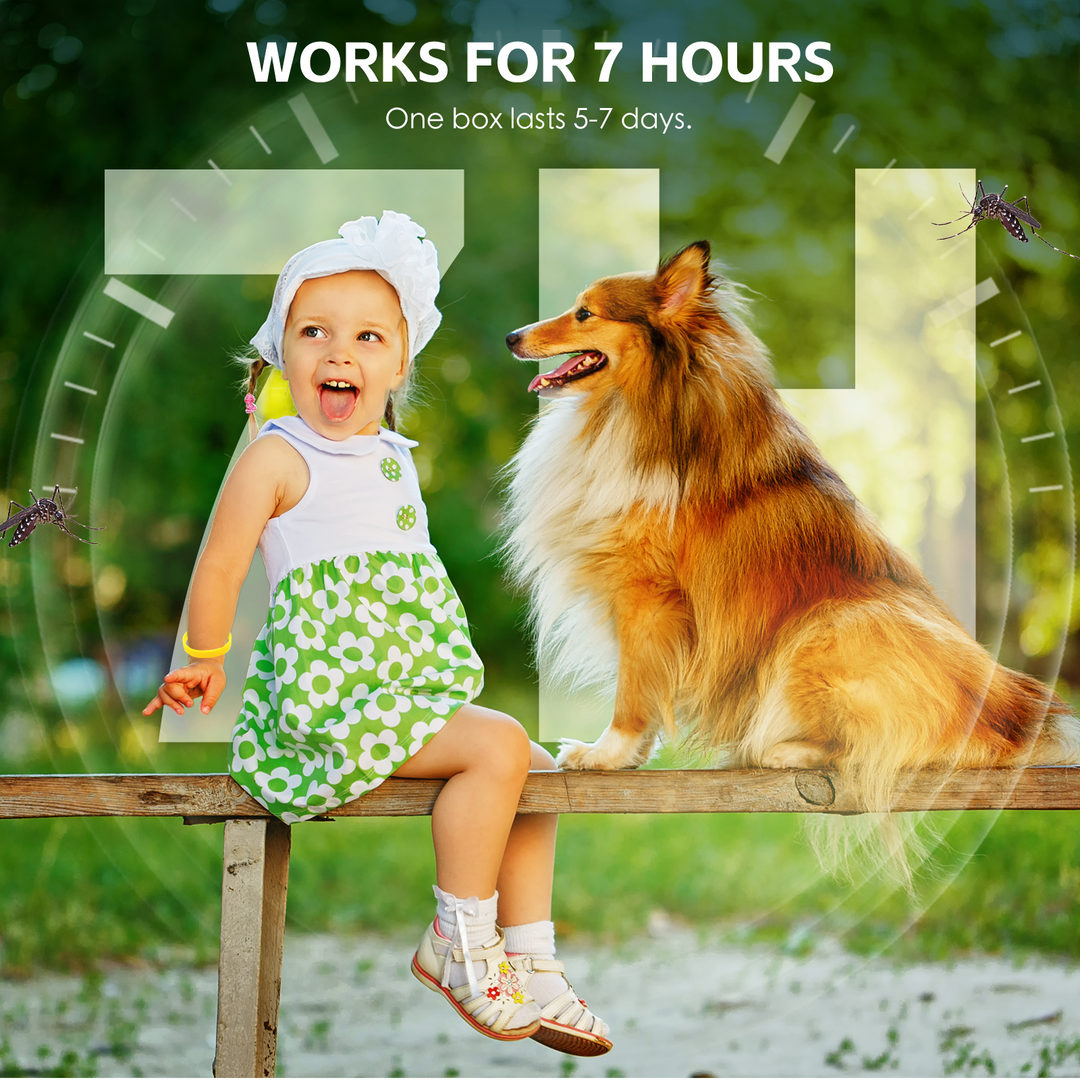 6 Pcs Mosquito Repellent Wristbands