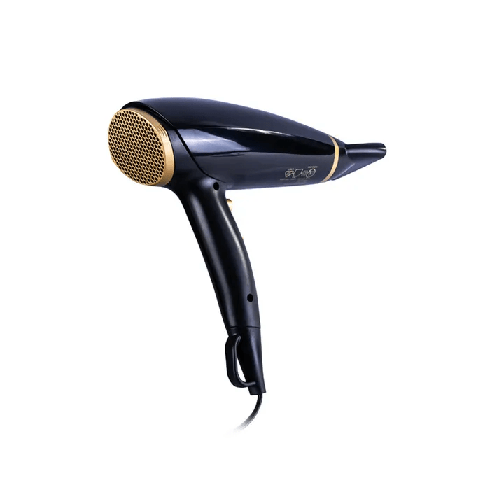 Living Today Hair Dryers Clevinger Evoke 2000W Professional  Hair Dryer