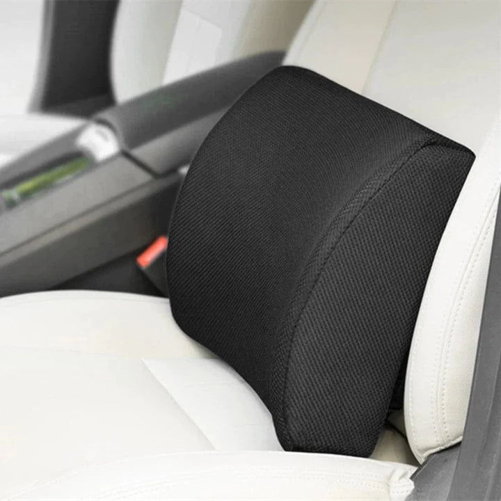 Living Today Office Memory Foam Lumbar Back Support Cushion with Black Cover