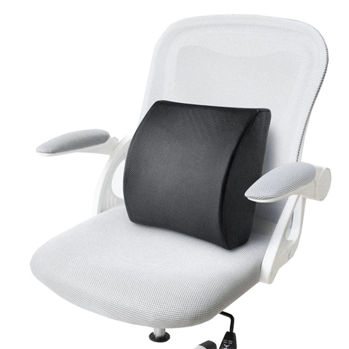 Living Today Office Memory Foam Lumbar Back Support Cushion with Black Cover