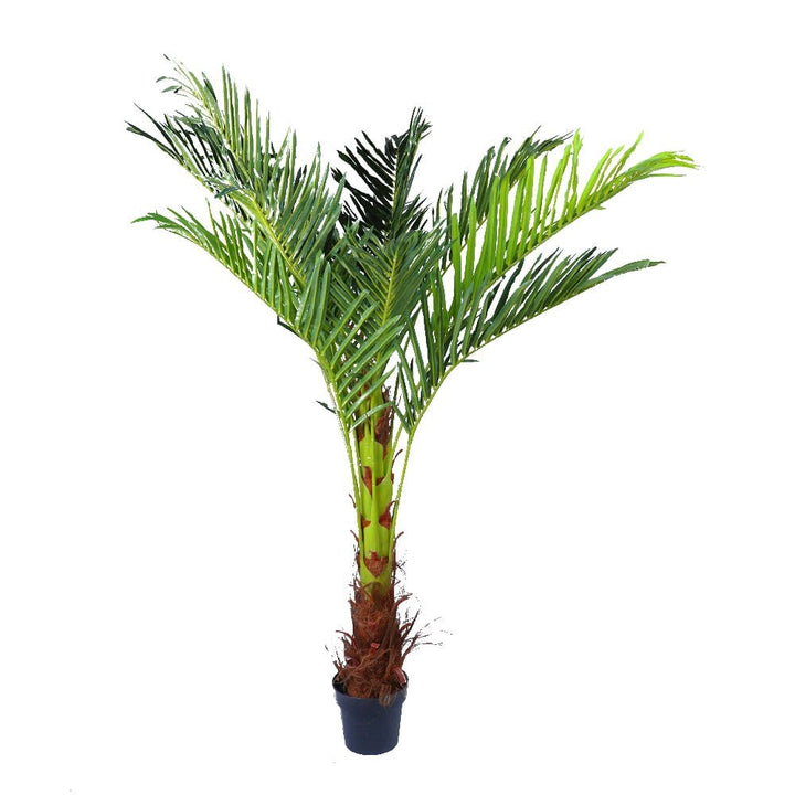 Living Today Artificial Flora 180cm Phoenix Palm - Artificial Plant, Home Decor Flora