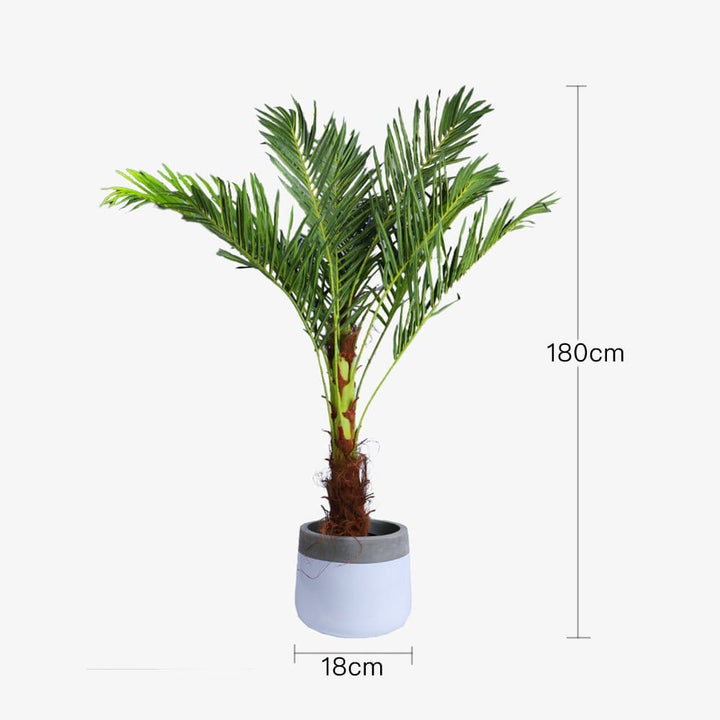Living Today Artificial Flora 180cm Phoenix Palm - Artificial Plant, Home Decor Flora