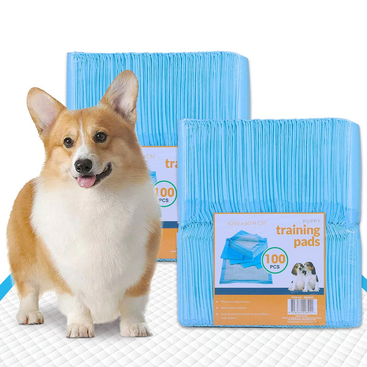 Living Today 200pcs Dog Absorbent Training Pad 60 x 60 cm