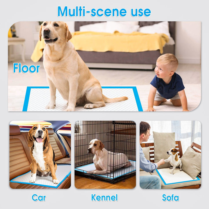 Living Today 100pcs Dog Absorbent Training Pad 60 x 60 cm