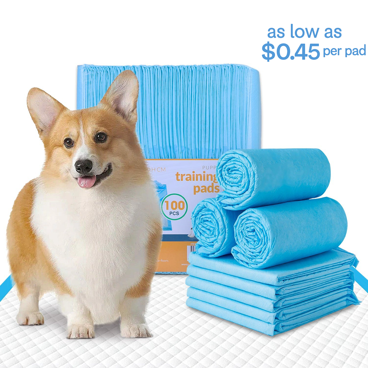 100 Pcs Dog Absorbent Training Pad 60 x 60 cm
