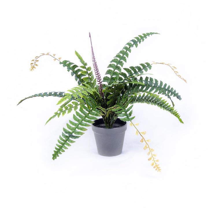 Plantasia Homewares Fern Potted Faux Indoor Plant