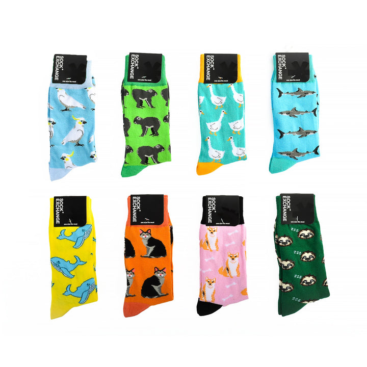 8 Pairs Fashion Novelty Funny  Socks one Size 5-13 Men  Socks  Women  Socks #1