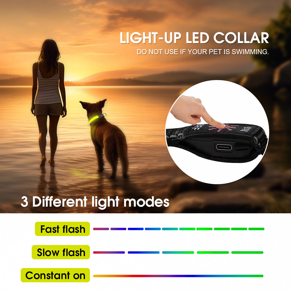 50cm Rechargeable Light-up LED Pet Collar