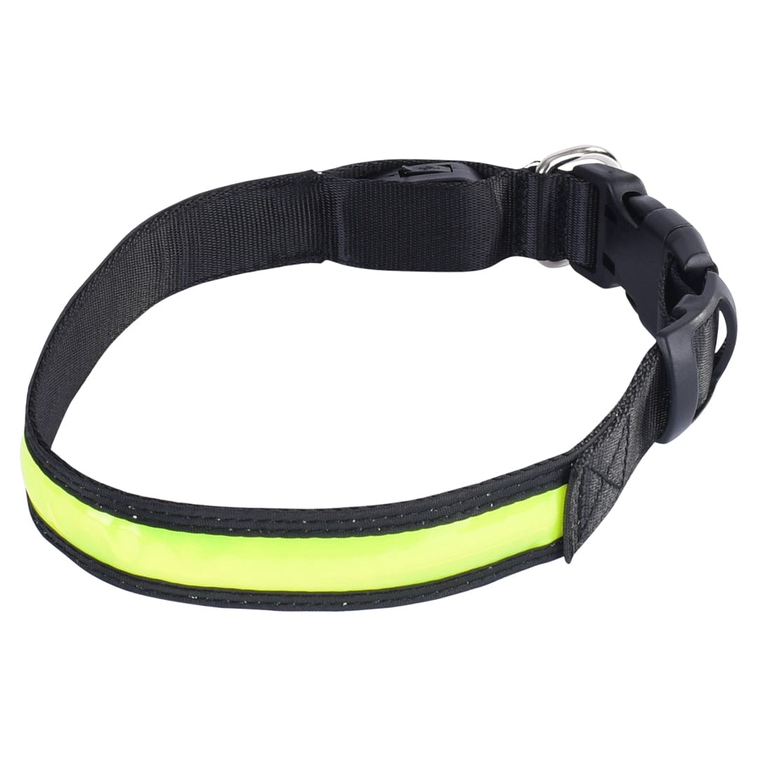 Living Today Pets Rechargeable Light-up LED Pet Collar