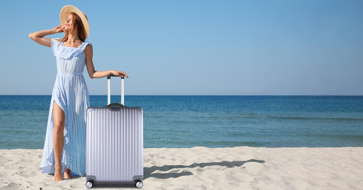 Flightmode Travel Suitcase Medium- Silver