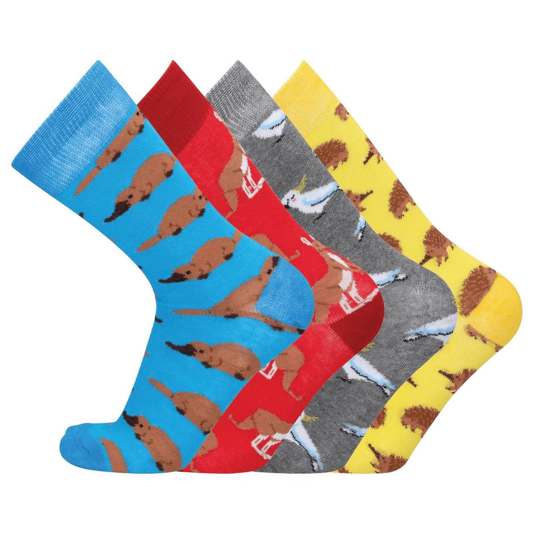 Novelty Fun Socks with Beautiful Gift Box 4PK