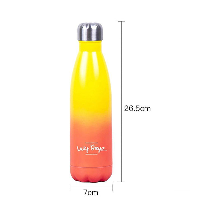 500ml Double Wall Stainless Steel Daily Drink Bottle